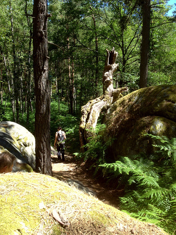 Sortie Fontainebleau juin 2015